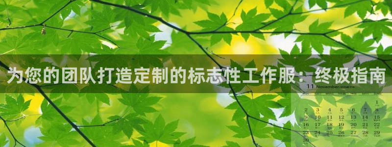 龙8国际头号玩家|为您的团队打造定制的标志性工作服：终极指南